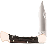 Buck 110 Folding Hunter - 9.5 cm ( 3.75")