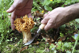 Opinel #08 Oak Wood Mushroom Knife with Sheath in Pencil Case - 7cm (2.8″)