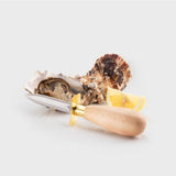 Taylor's Oyster Shucking Knife - Beech Handle - 7 cm (2.76")