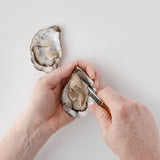 Taylor's Oyster Shucking Knife - Beech Handle - 7 cm (2.76")
