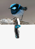 "Bella" | The Blue Wren EDC Pocket Knife