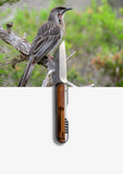 "Henry" | The Honey Eater AKA "Gentlemen's Knife"