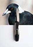 "Max" | The Magpie MagnaCut Steel Pocket Knife