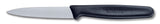Victorinox Serrated Paring Knife 8cm (3.25")